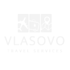 vlasovoservices.com